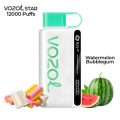 watermelon-bubblegum-by-vozol-star-12000-puffs-disposable-pod-cvcv